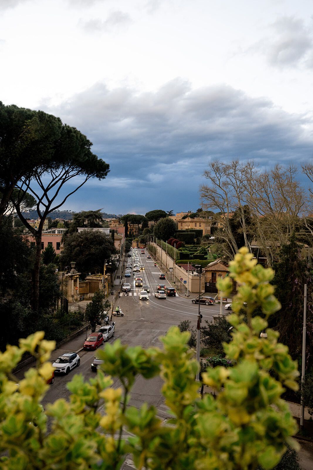 Vista de Roma con pinos piñoneros desde Villa Clara