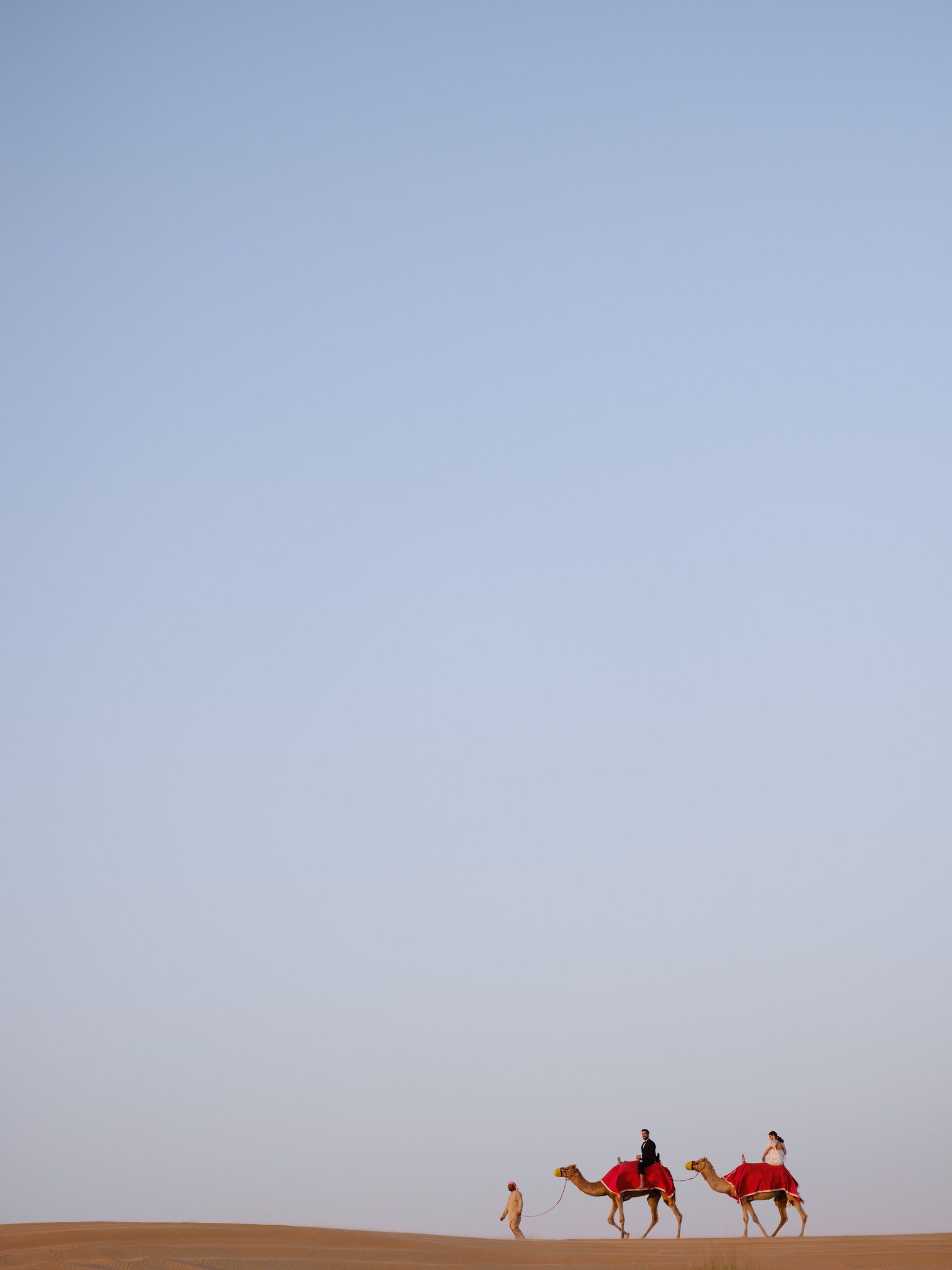 Kamelkarawane durchquert die Dünen der Sahara