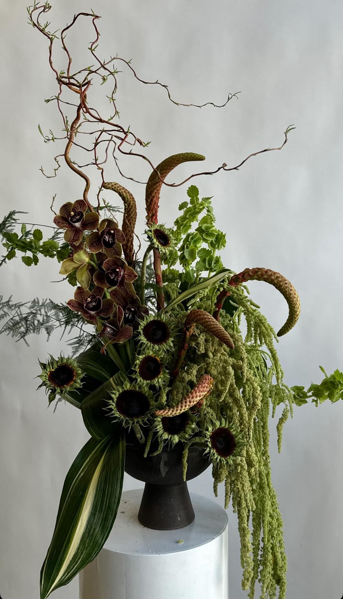 Concept Villa Balbiano, September 15 — photo 1
