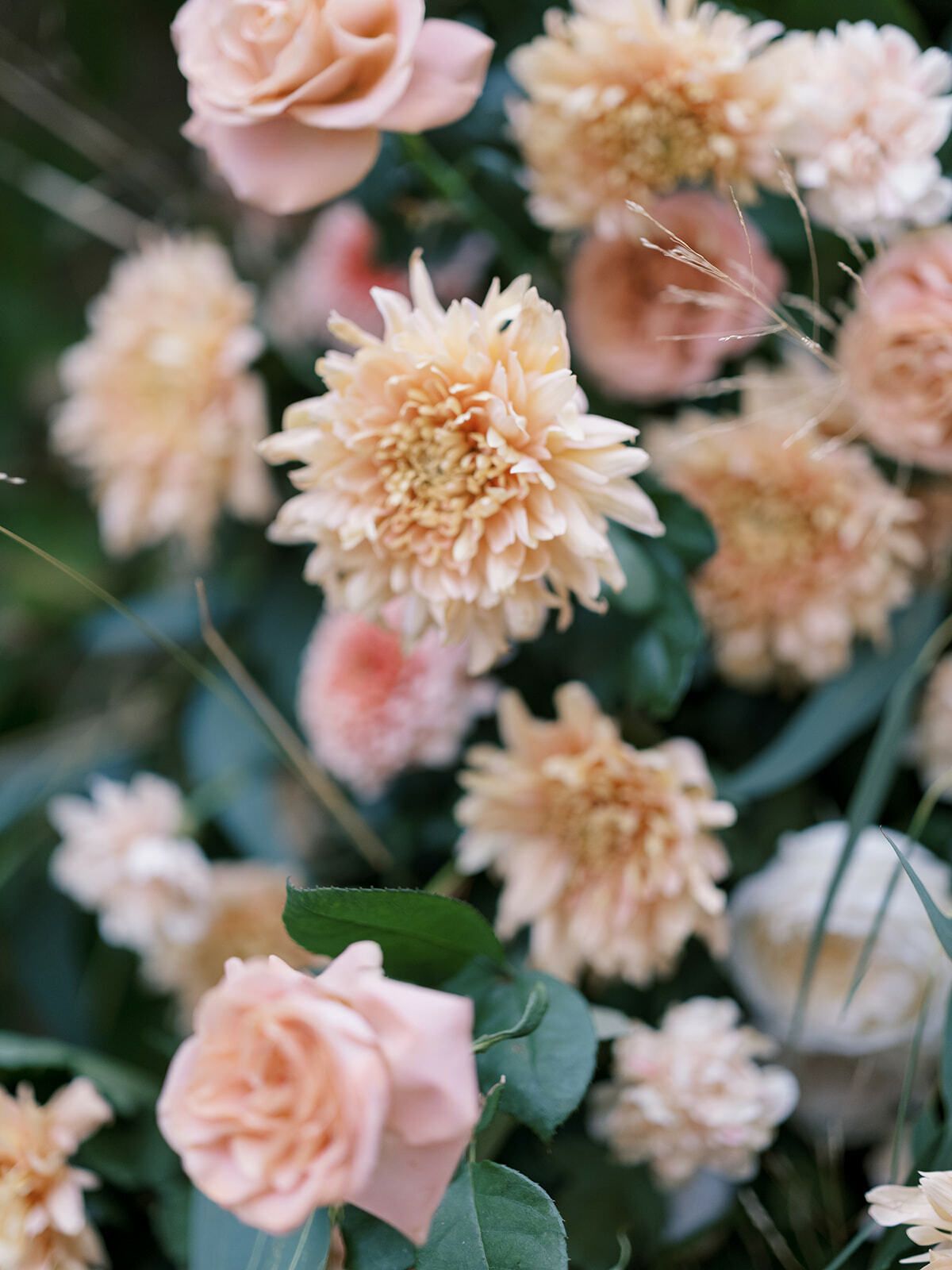 Pfirsichfarbene Dahlien und Rosen in einem Hochzeitsarrangement
