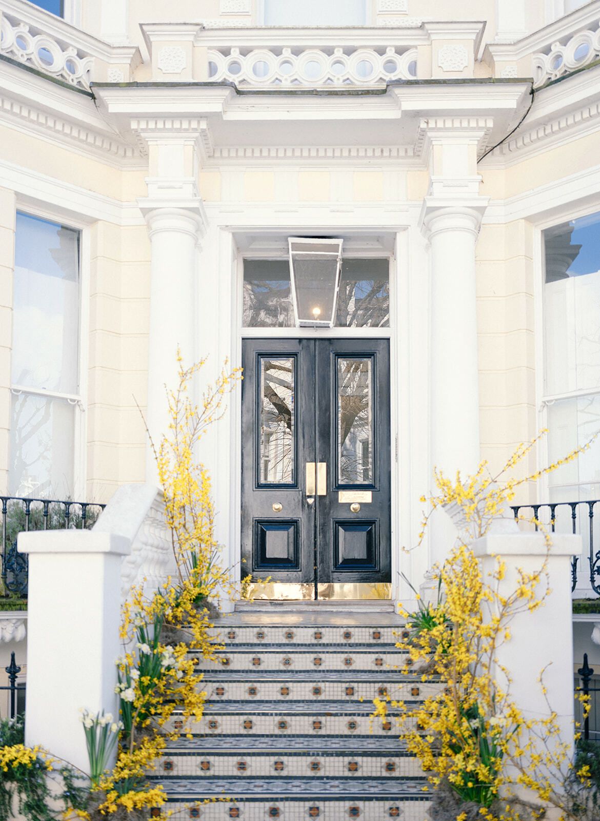 Treppe eines georgianischen Stadthauses mit gelber Forsythie, London