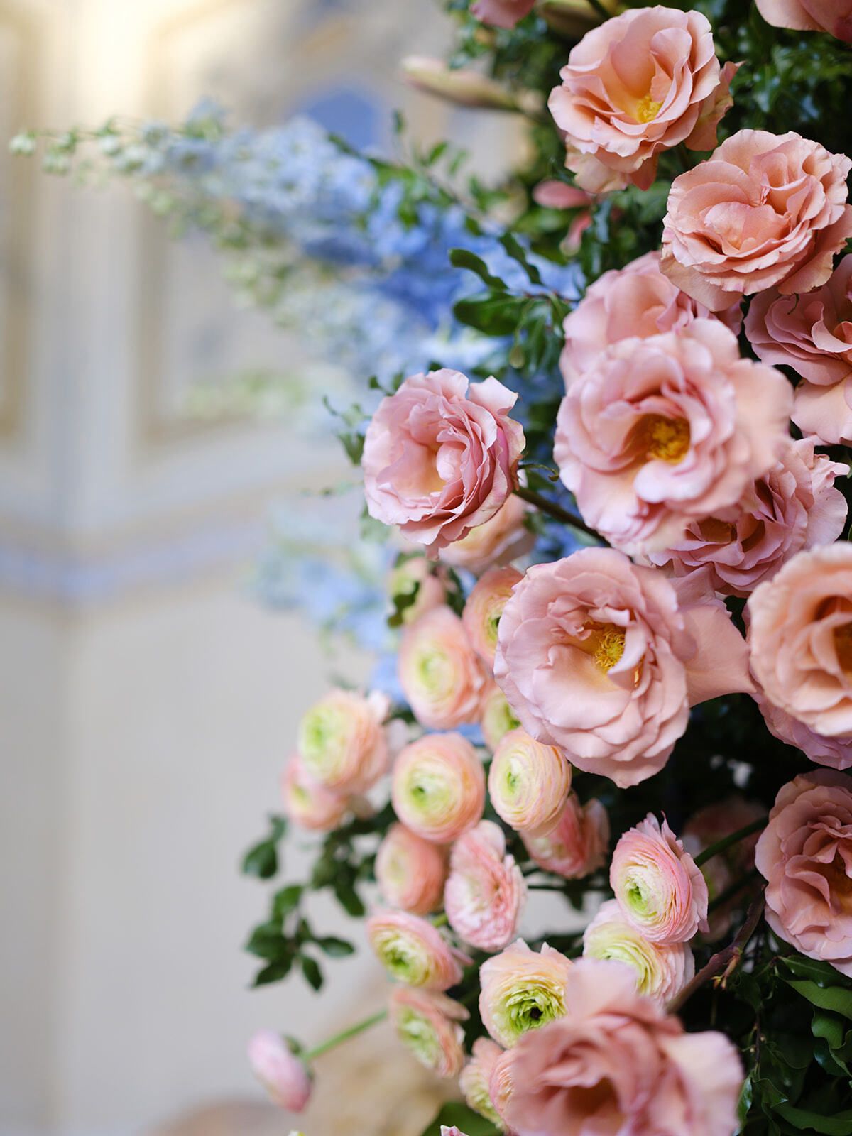 Rosas rosas y espuelas de caballero azules