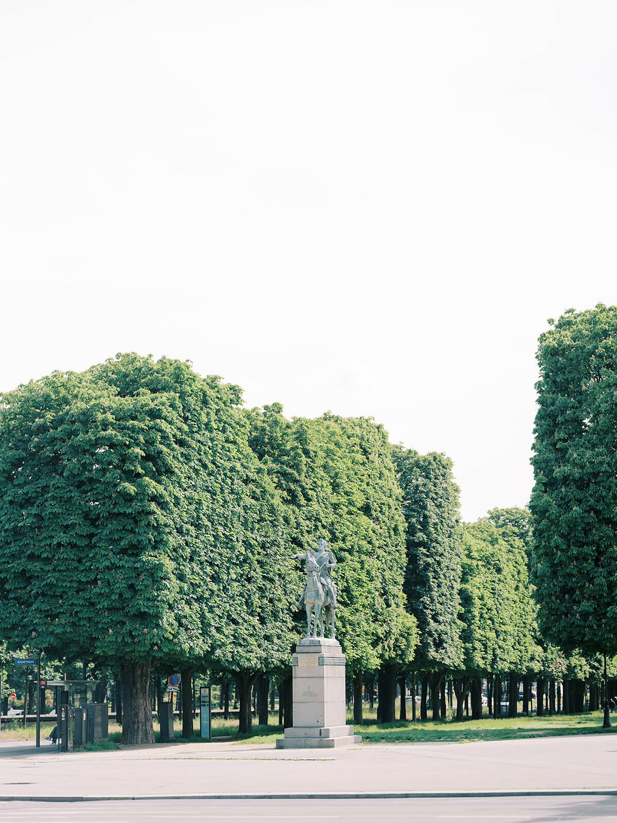 Geschnittene Bäume im Jardin des Tuileries, Paris